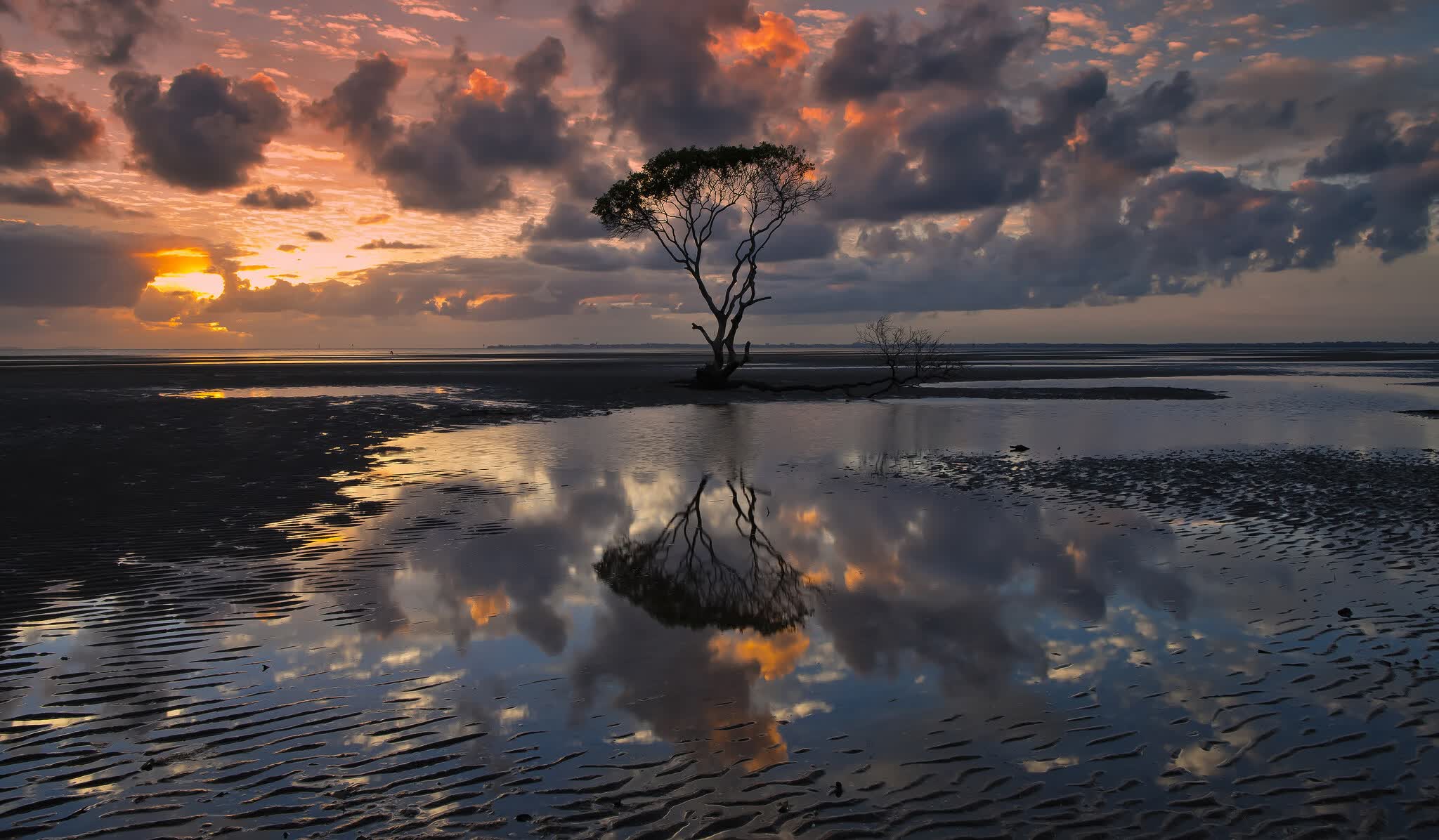 世界游艇挑战赛赛事志愿者培训手册发行,世界游艇俱乐部